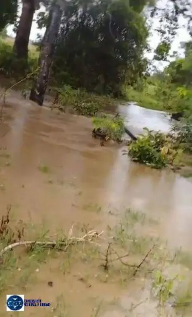 Fazenda / Haras com 4 quartos à venda, 73m2 em Palmeiropolis - TO - imagem 6 Foto 6 de Fazenda / Haras com 4 quartos à venda, 73m2 em Palmeiropolis - TO