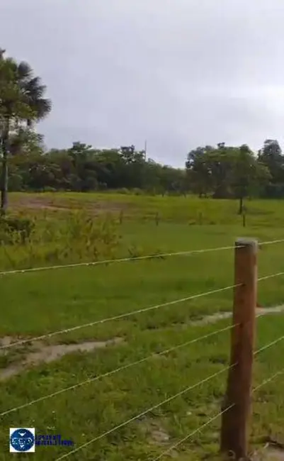 Fazenda / Haras com 4 quartos à venda, 73m2 em Palmeiropolis - TO - imagem 8 Foto 8 de Fazenda / Haras com 4 quartos à venda, 73m2 em Palmeiropolis - TO