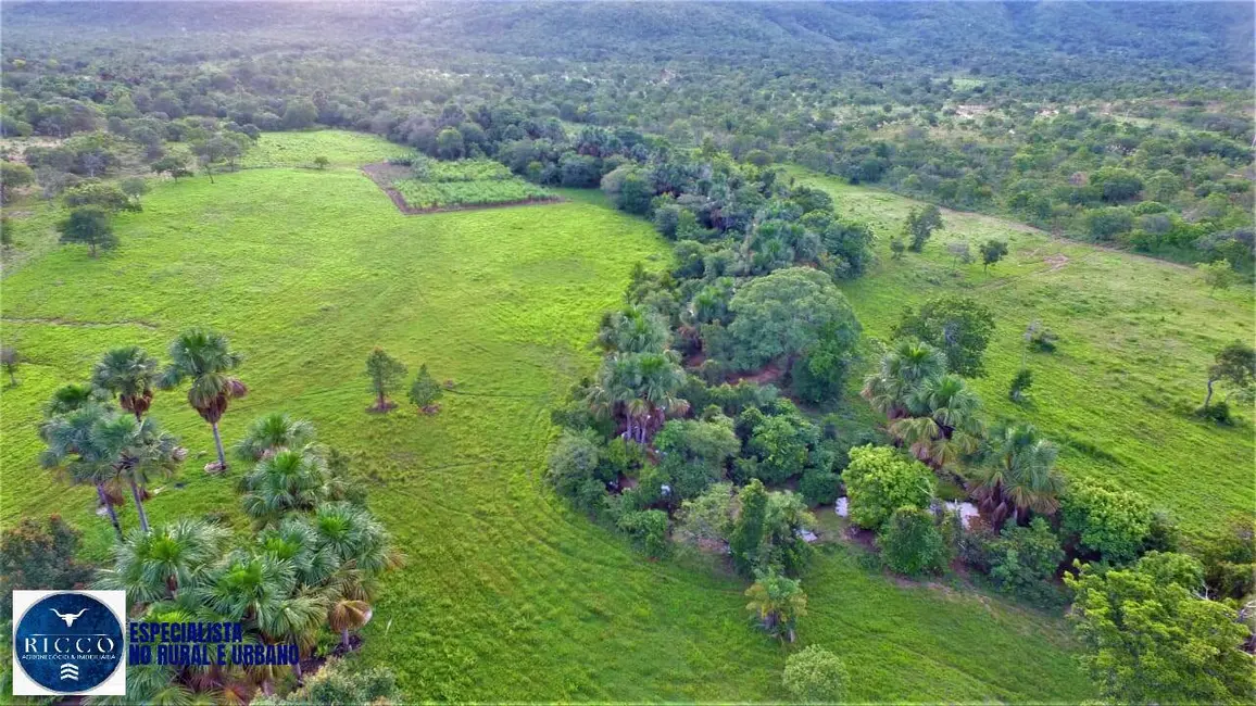 Fazenda / Haras com 4 quartos à venda, 73m2 em Palmeiropolis - TO - imagem 4 Foto 4 de Fazenda / Haras com 4 quartos à venda, 73m2 em Palmeiropolis - TO