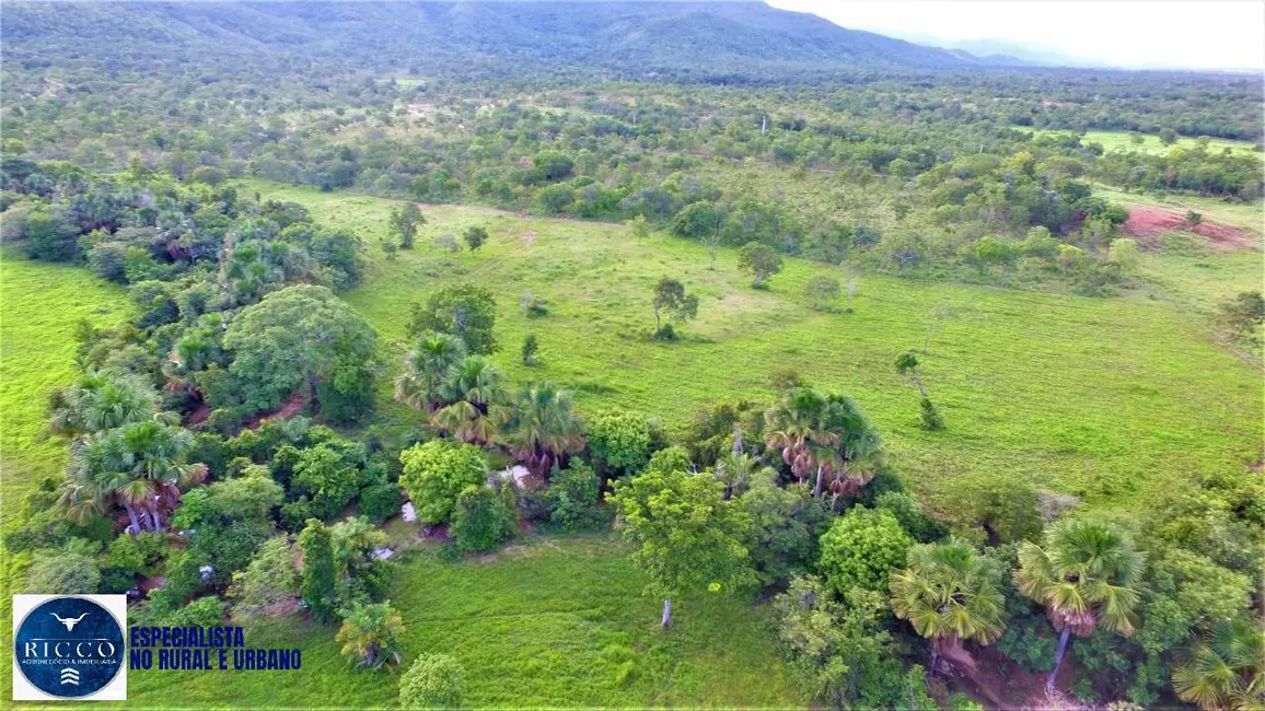 Fazenda / Haras com 4 quartos à venda, 73m2 em Palmeiropolis - TO - imagem 3 Foto 3 de Fazenda / Haras com 4 quartos à venda, 73m2 em Palmeiropolis - TO