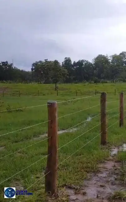 Fazenda / Haras com 4 quartos à venda, 73m2 em Palmeiropolis - TO - imagem 9 Foto 9 de Fazenda / Haras com 4 quartos à venda, 73m2 em Palmeiropolis - TO