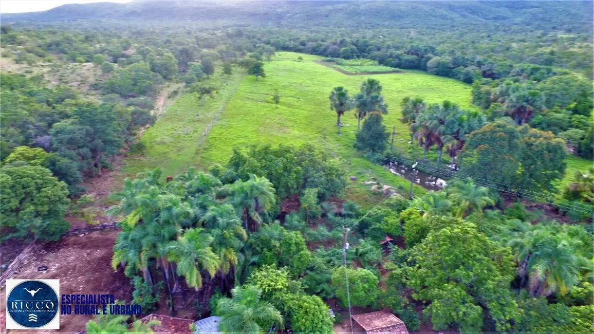 Fazenda / Haras com 4 quartos à venda, 73m2 em Palmeiropolis - TO - imagem 2 Foto 2 de Fazenda / Haras com 4 quartos à venda, 73m2 em Palmeiropolis - TO