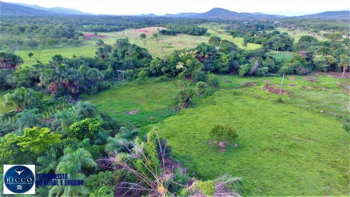 Fazenda / Haras com 4 quartos à venda, 73m2 em Palmeiropolis - TO - imagem 5 Foto 5 de Fazenda / Haras com 4 quartos à venda, 73m2 em Palmeiropolis - TO