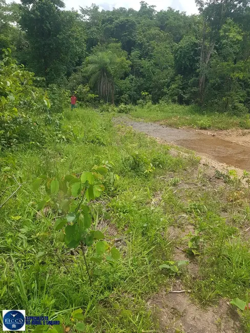 Foto 4 de Fazenda / Haras com 3 quartos à venda, 660m2 em Montividiu Do Norte - GO