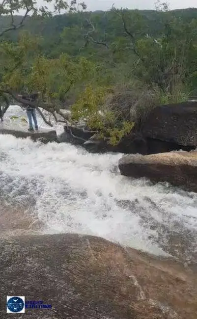 Foto 2 de Fazenda / Haras com 3 quartos à venda, 660m2 em Montividiu Do Norte - GO