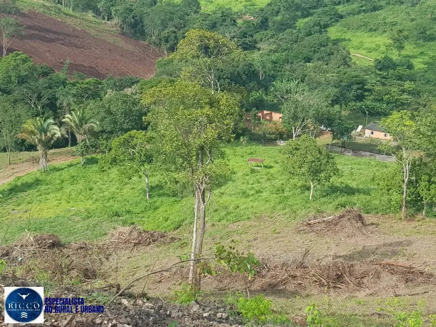 Foto 9 de Fazenda / Haras com 3 quartos à venda, 660m2 em Montividiu Do Norte - GO