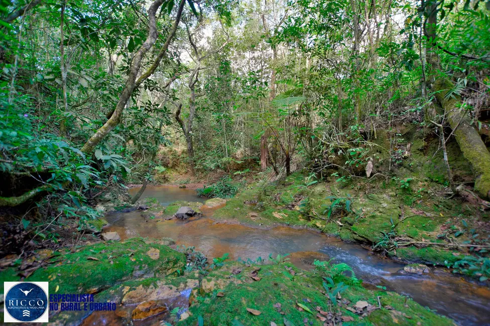 Foto 5 de Chácara com 3 quartos à venda em Área Rural de Luziânia, Luziania - GO