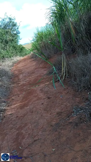 Foto 4 de Fazenda / Haras à venda, 18m2 em Itapuranga - GO