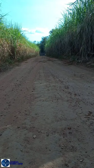 Foto 6 de Fazenda / Haras à venda, 18m2 em Itapuranga - GO