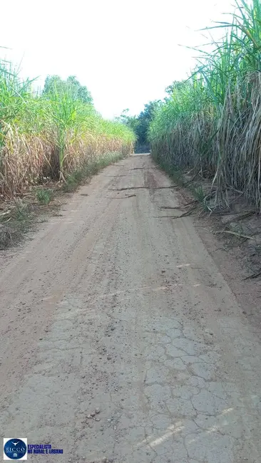 Foto 1 de Fazenda / Haras à venda, 18m2 em Itapuranga - GO