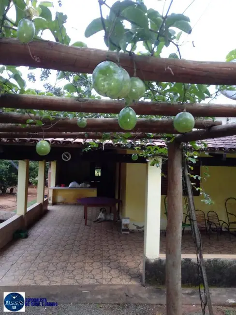 Foto 4 de Chácara com 2 quartos à venda, 4000m2 em Bela Vista De Goias - GO