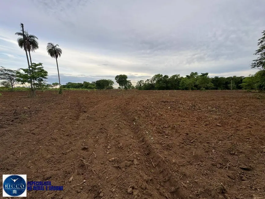 Foto 7 de Fazenda / Haras com 2 quartos à venda, 120m2 em Alto Paraiso De Goias - GO