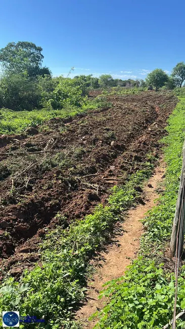 Foto 2 de Fazenda / Haras com 2 quartos à venda, 120m2 em Alto Paraiso De Goias - GO
