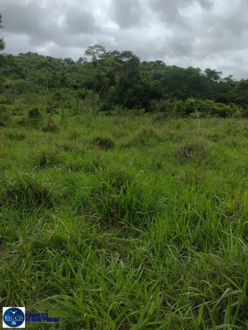 Foto 7 de Fazenda / Haras com 4 quartos à venda, 30m2 em Crixas - GO