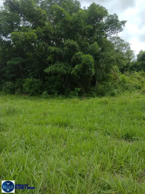 Foto 9 de Fazenda / Haras com 4 quartos à venda, 30m2 em Crixas - GO