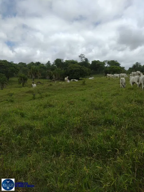 Foto 5 de Fazenda / Haras com 4 quartos à venda, 30m2 em Crixas - GO
