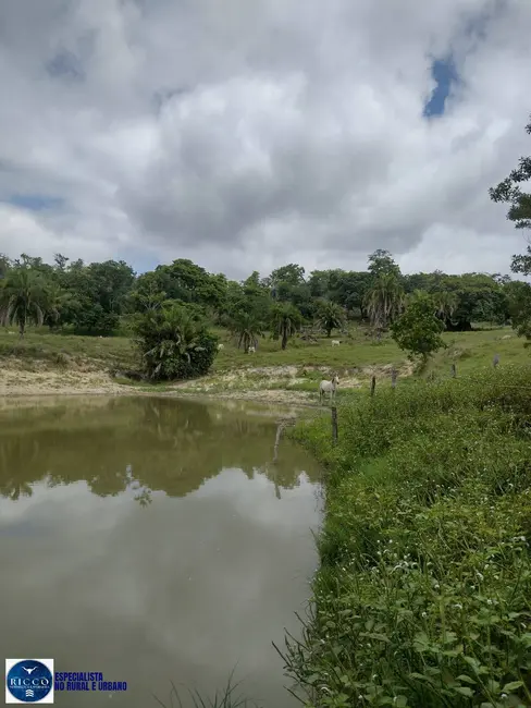 Foto 1 de Fazenda / Haras com 4 quartos à venda, 30m2 em Crixas - GO