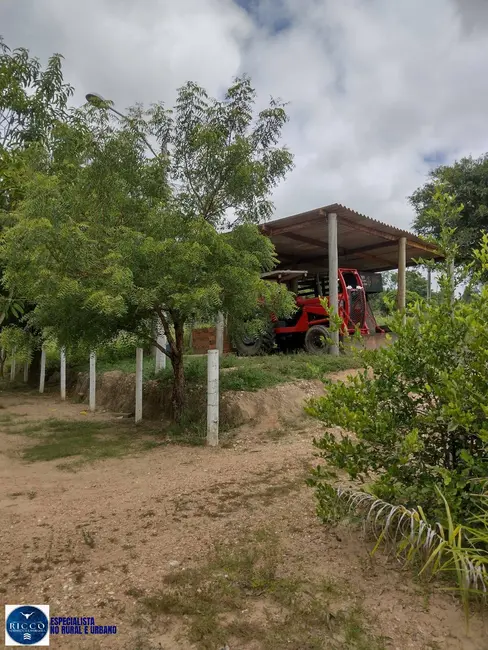 Foto 2 de Fazenda / Haras com 4 quartos à venda, 30m2 em Crixas - GO