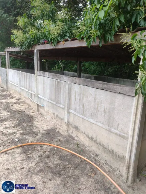 Foto 4 de Fazenda / Haras com 4 quartos à venda, 30m2 em Crixas - GO