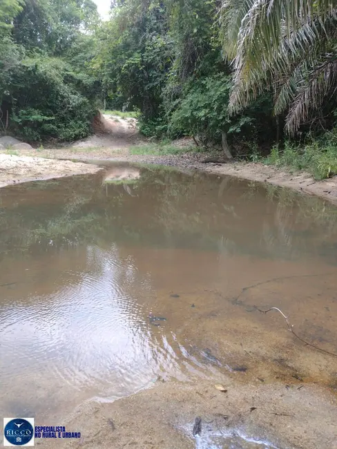 Foto 3 de Fazenda / Haras com 4 quartos à venda, 30m2 em Crixas - GO