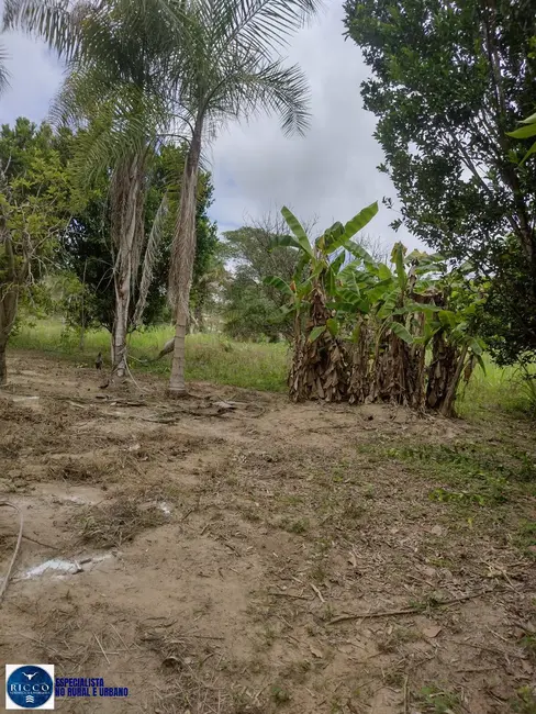 Foto 6 de Fazenda / Haras com 4 quartos à venda, 30m2 em Crixas - GO
