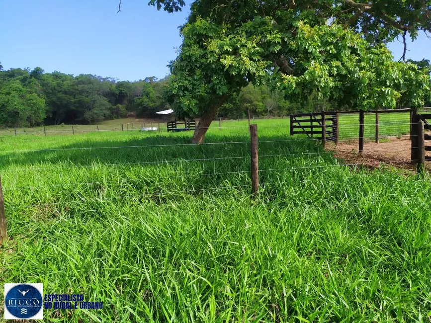 Fazenda / Haras com 3 quartos à venda, 27m2 em Morrinhos - GO - imagem 4 Foto 4 de Fazenda / Haras com 3 quartos à venda, 27m2 em Morrinhos - GO