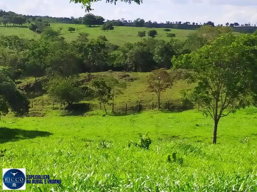 Fazenda / Haras com 3 quartos à venda, 27m2 em Morrinhos - GO - imagem 8 Foto 8 de Fazenda / Haras com 3 quartos à venda, 27m2 em Morrinhos - GO