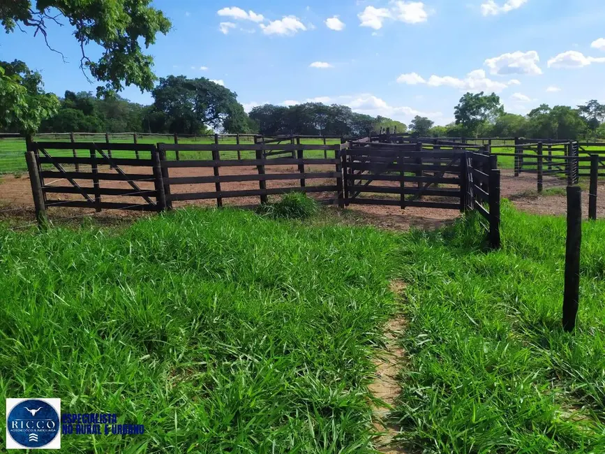 Fazenda / Haras com 3 quartos à venda, 27m2 em Morrinhos - GO - imagem 5 Foto 5 de Fazenda / Haras com 3 quartos à venda, 27m2 em Morrinhos - GO