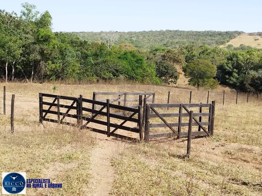 Fazenda / Haras com 3 quartos à venda, 27m2 em Morrinhos - GO - imagem 3 Foto 3 de Fazenda / Haras com 3 quartos à venda, 27m2 em Morrinhos - GO