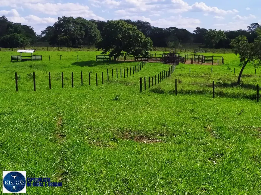 Fazenda / Haras com 3 quartos à venda, 27m2 em Morrinhos - GO - imagem 1 Foto 1 de Fazenda / Haras com 3 quartos à venda, 27m2 em Morrinhos - GO