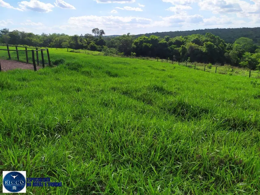 Fazenda / Haras com 3 quartos à venda, 27m2 em Morrinhos - GO - imagem 2 Foto 2 de Fazenda / Haras com 3 quartos à venda, 27m2 em Morrinhos - GO