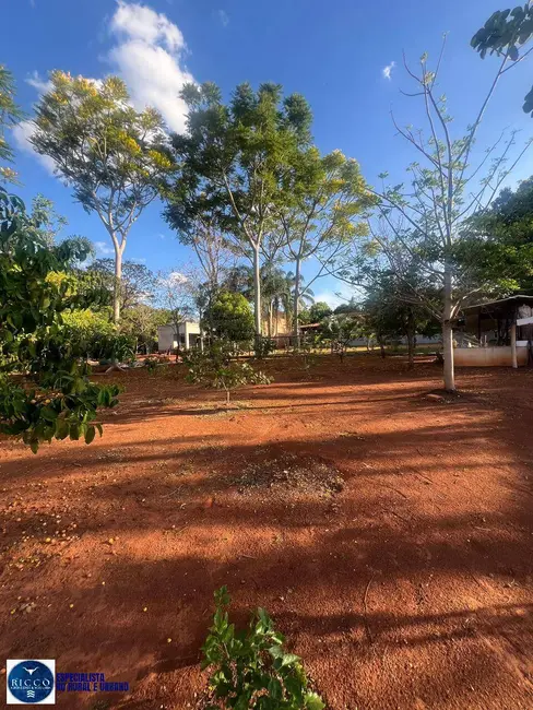 Chácara com 3 quartos à venda, 1800m2 em Guapo - GO - imagem 8 Foto 8 de Chácara com 3 quartos à venda, 1800m2 em Guapo - GO