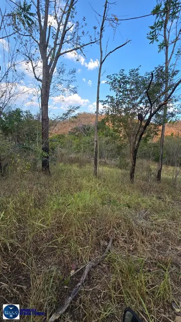 Foto 9 de Fazenda / Haras à venda, 150m2 em Campinorte - GO