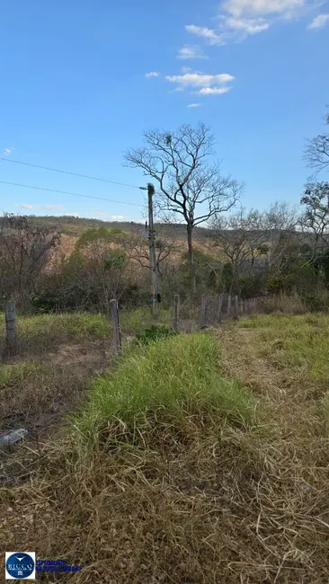 Foto 8 de Fazenda / Haras à venda, 150m2 em Campinorte - GO