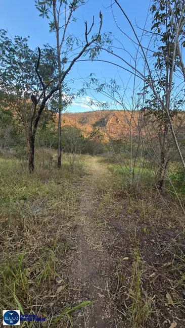 Foto 4 de Fazenda / Haras à venda, 150m2 em Campinorte - GO