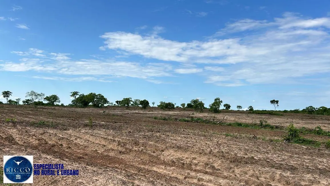 Foto 9 de Fazenda / Haras com 2 quartos à venda, 210m2 em Parana - TO