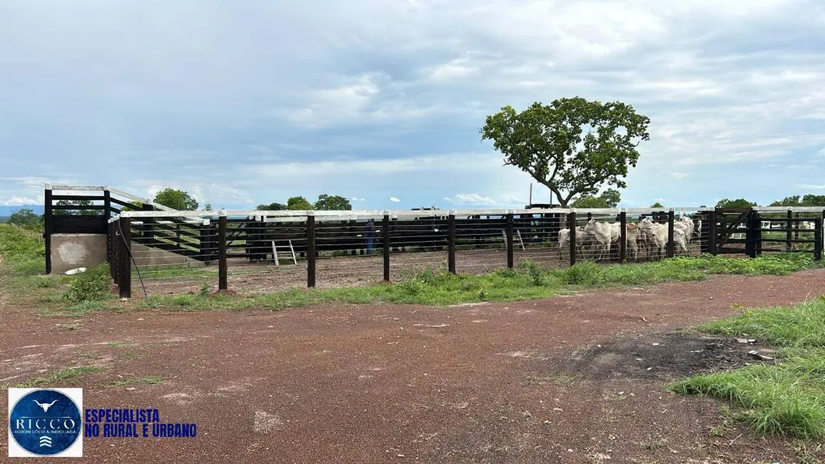 Foto 3 de Fazenda / Haras com 2 quartos à venda, 210m2 em Parana - TO