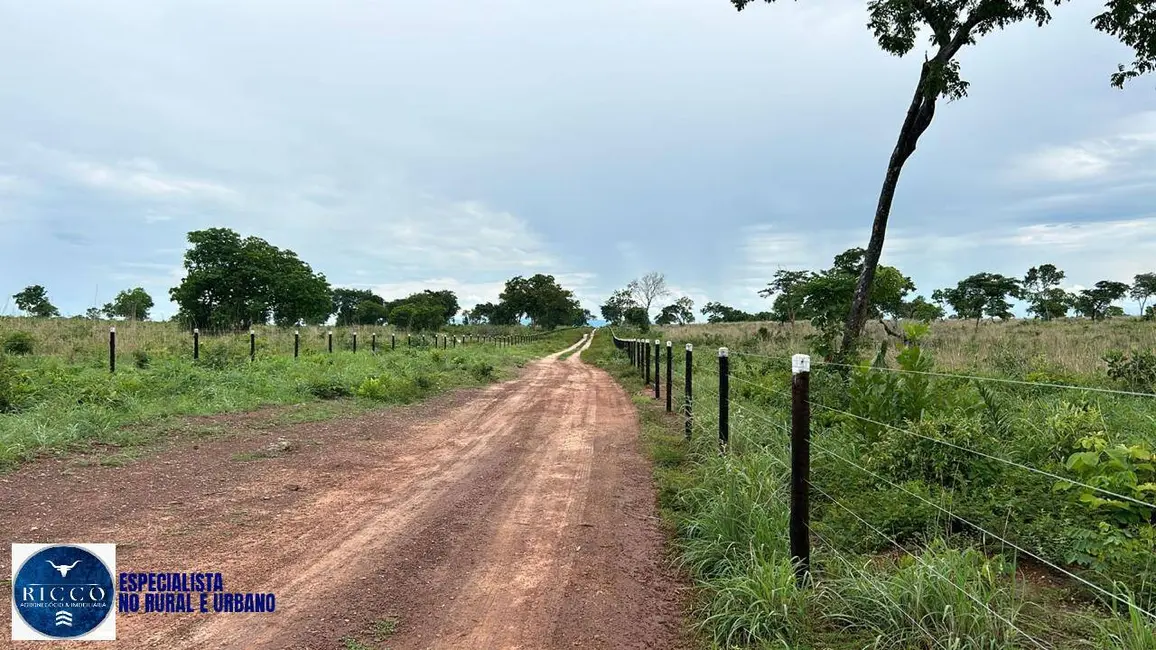 Foto 2 de Fazenda / Haras com 2 quartos à venda, 210m2 em Parana - TO