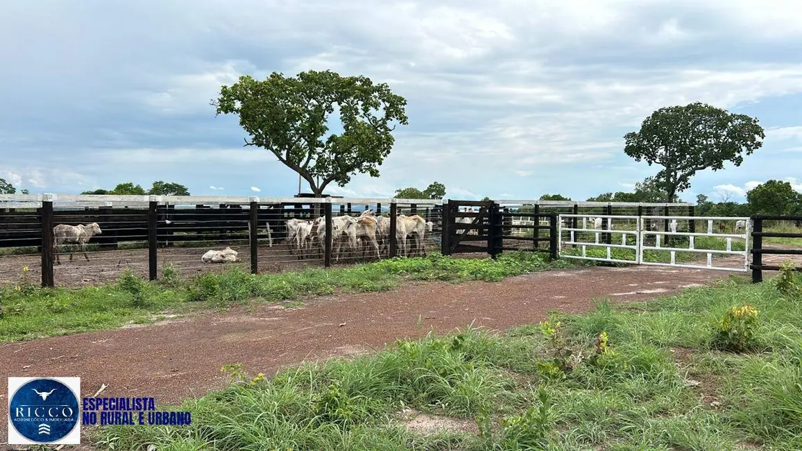 Foto 5 de Fazenda / Haras com 2 quartos à venda, 210m2 em Parana - TO