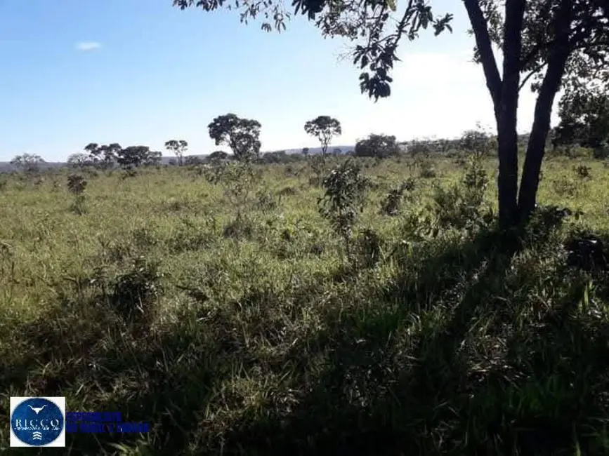 Foto 9 de Fazenda / Haras com 2 quartos à venda, 161m2 em Ipameri - GO