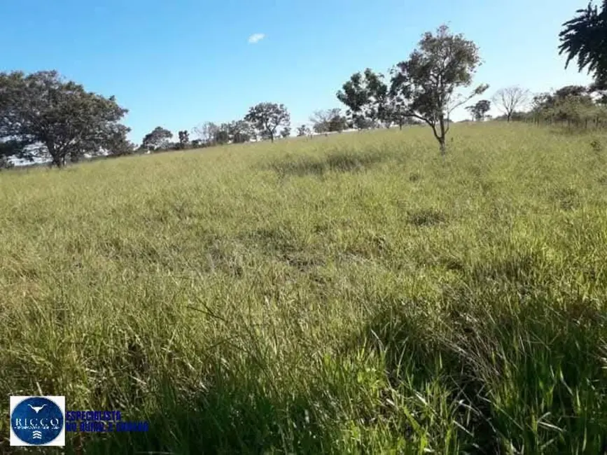 Foto 5 de Fazenda / Haras com 2 quartos à venda, 161m2 em Ipameri - GO
