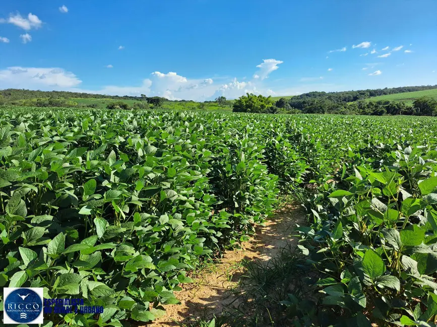Foto 1 de Fazenda / Haras com 2 quartos à venda, 161m2 em Ipameri - GO