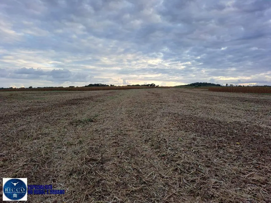 Foto 8 de Fazenda / Haras com 2 quartos à venda, 161m2 em Ipameri - GO