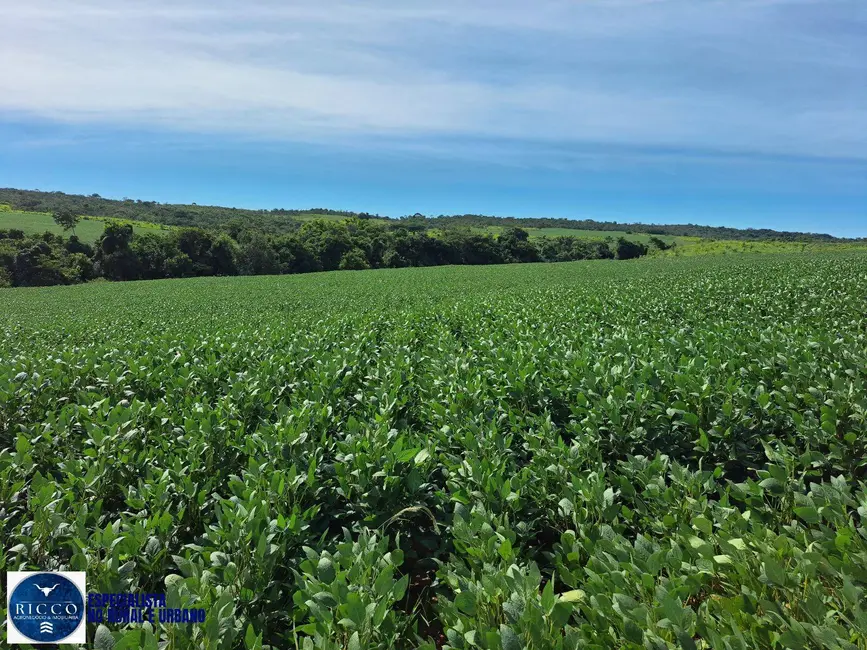 Foto 4 de Fazenda / Haras com 2 quartos à venda, 161m2 em Ipameri - GO