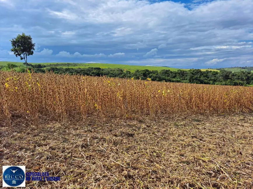 Foto 6 de Fazenda / Haras com 2 quartos à venda, 161m2 em Ipameri - GO