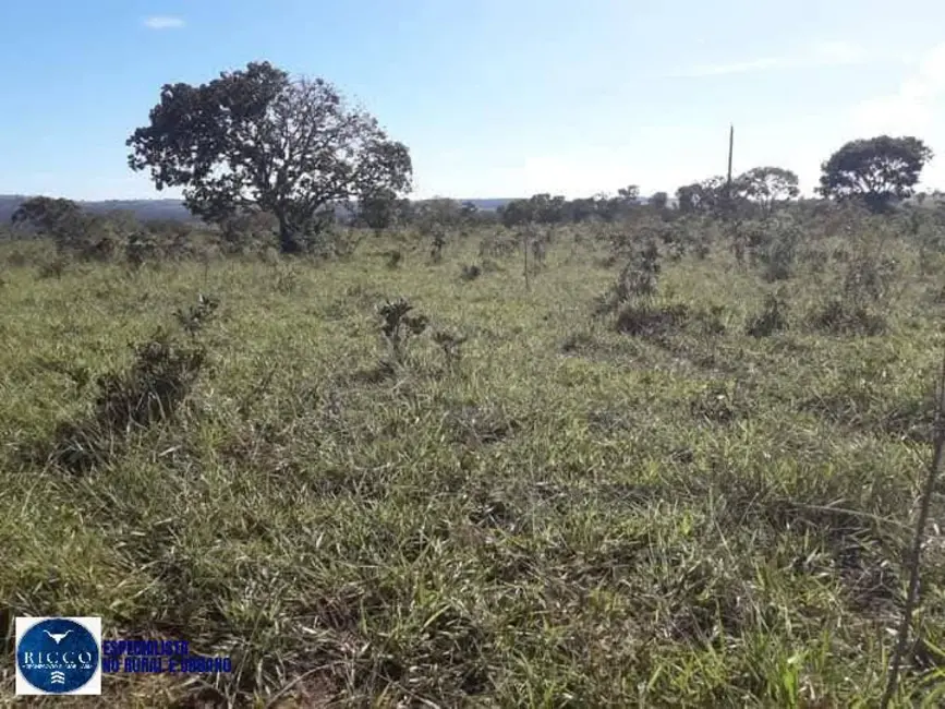 Foto 3 de Fazenda / Haras com 2 quartos à venda, 161m2 em Ipameri - GO
