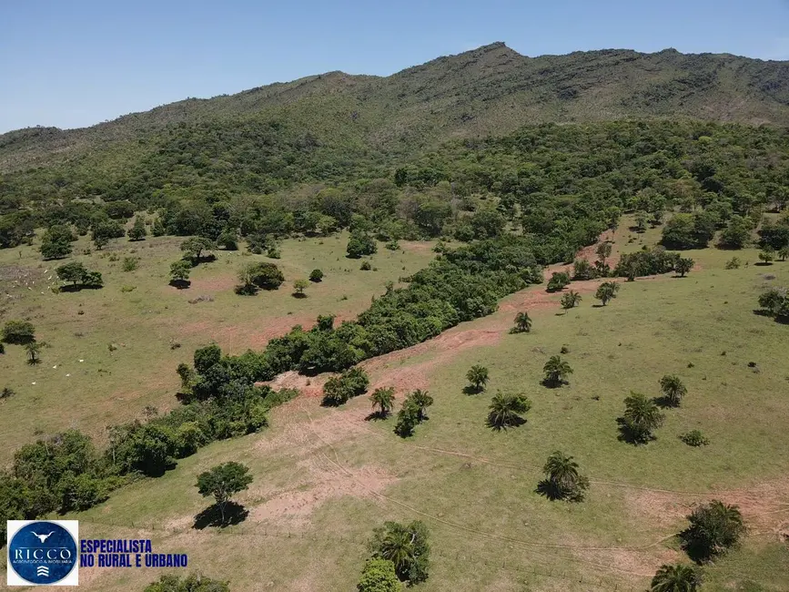 Foto 7 de Fazenda / Haras com 2 quartos à venda, 64m2 em Sanclerlandia - GO