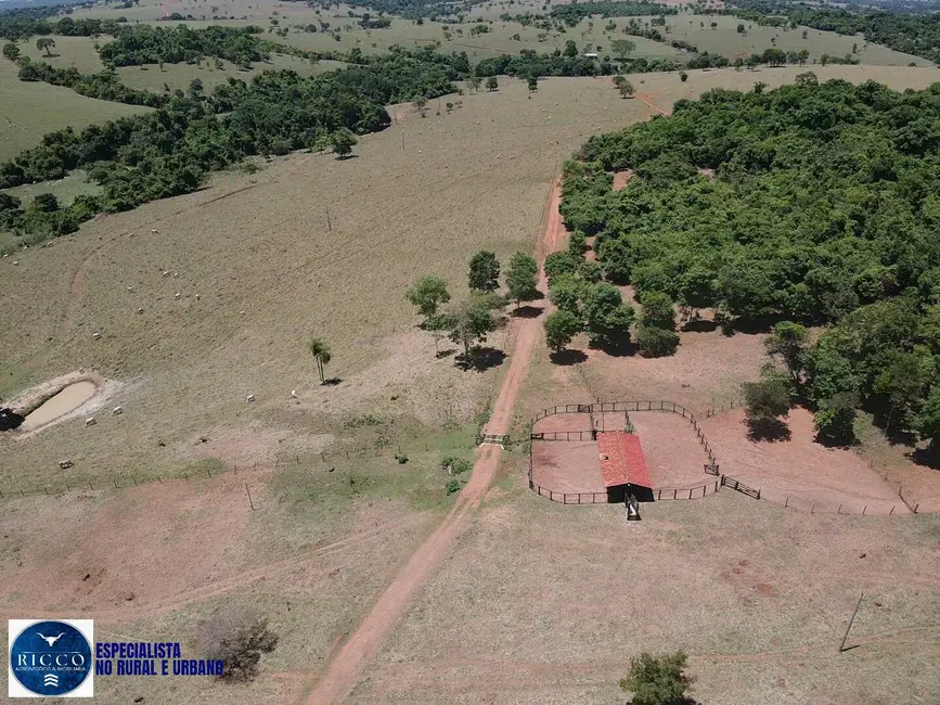 Foto 3 de Fazenda / Haras com 2 quartos à venda, 64m2 em Sanclerlandia - GO
