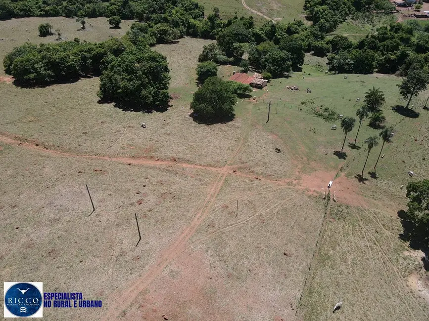 Foto 4 de Fazenda / Haras com 2 quartos à venda, 64m2 em Sanclerlandia - GO