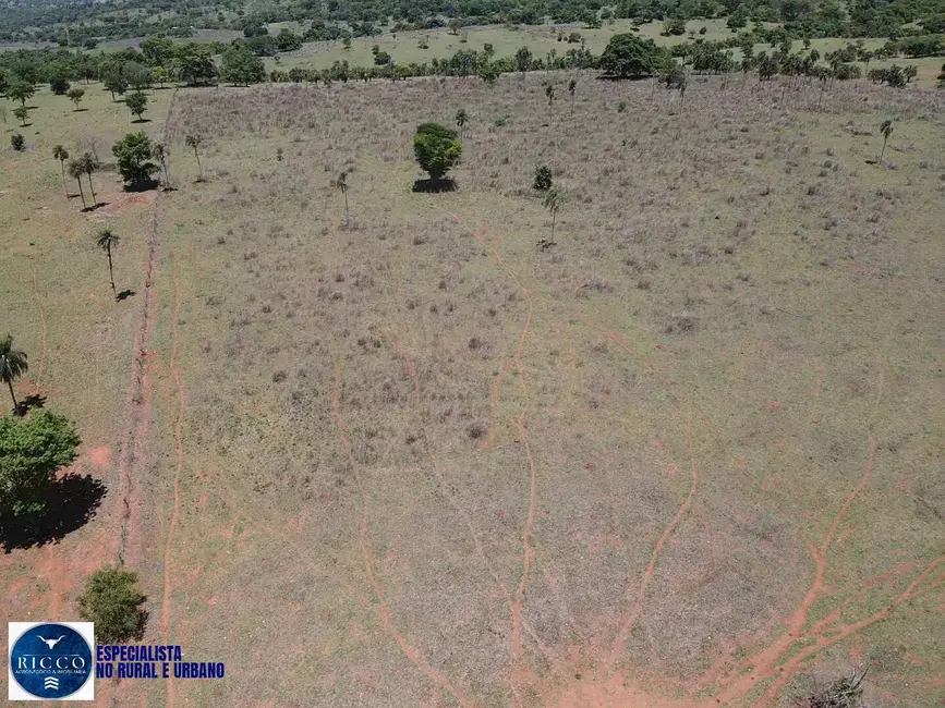 Foto 9 de Fazenda / Haras com 2 quartos à venda, 64m2 em Sanclerlandia - GO